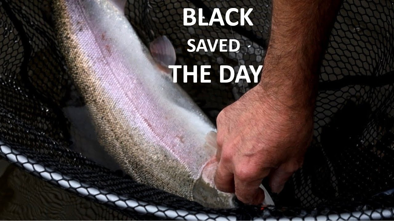 259. My Best "PB" Rainbow Trout Here! Stillwater Fly Fishing UK at Scout Dike Reservoir