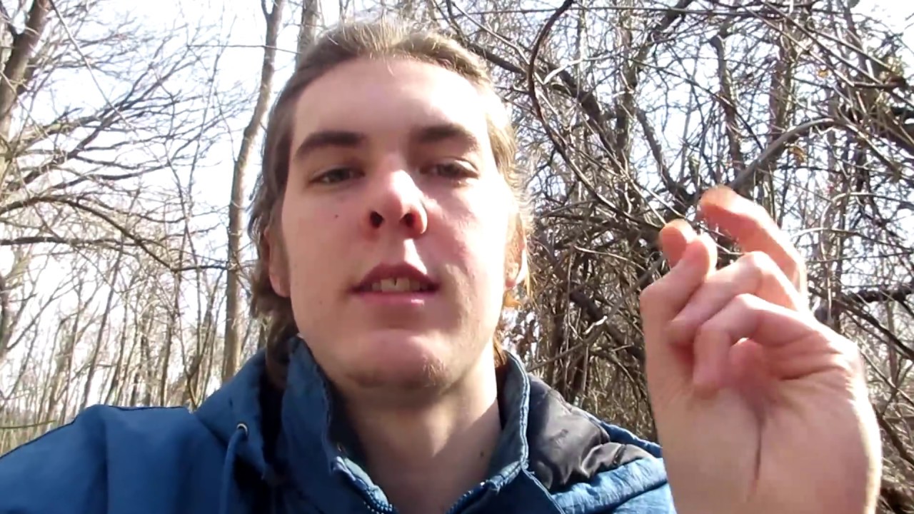 Stoned for 365 Days (What I learned about myself & Weed)