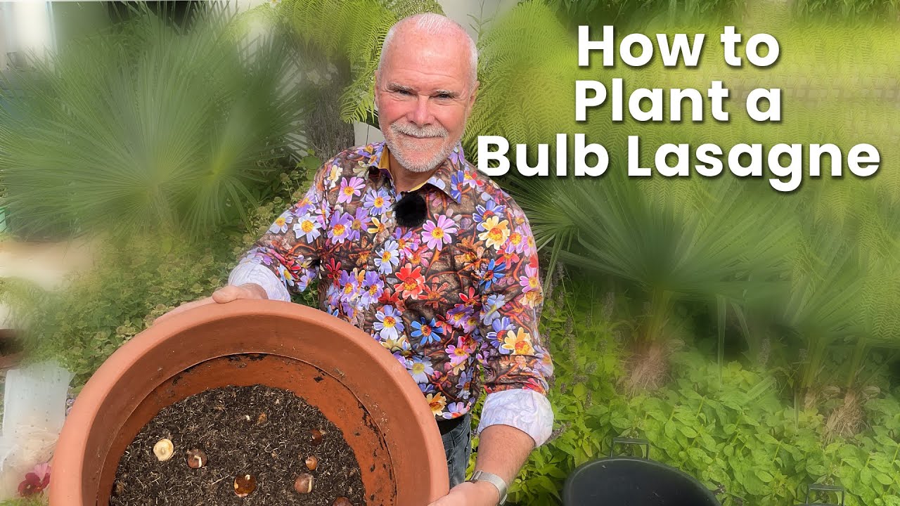 How to Plant a Bulb Lasagne | For A Long Flower Season!