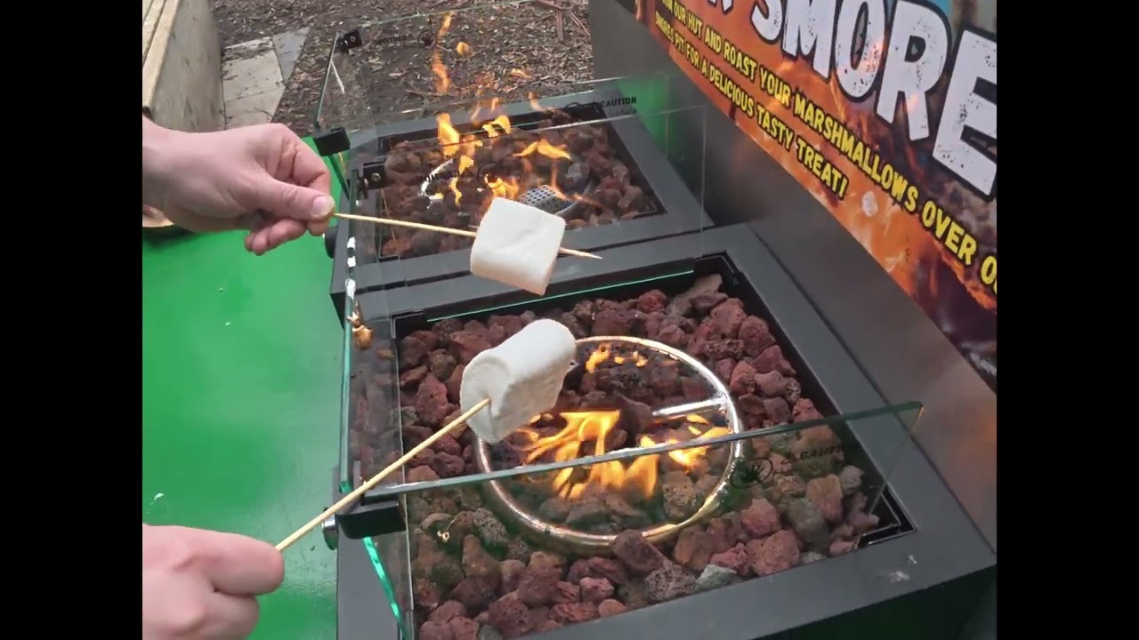 Beyond the Tree's Co Wicklow . Long drive NO DRONE'S ALLOWED! Thing's to do in Ireland.