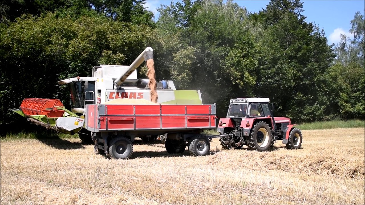 Zetor Crystal odvoz obilí žně 2017