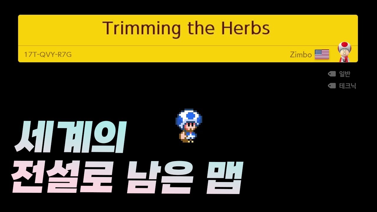절대로 나와서는 안되는 전설의 맵을 배틀에서 만났을때 - 슈퍼마리오 메이커 2