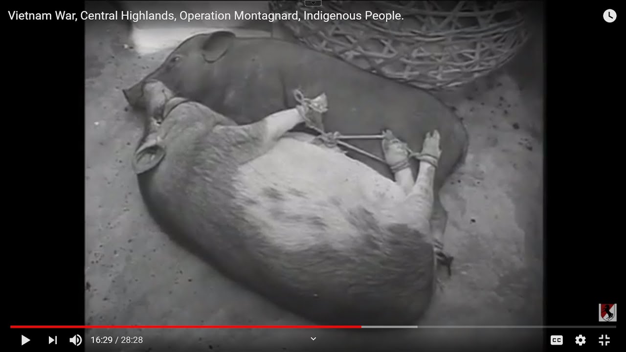 Vietnam War, Central Highlands, Operation Montagnard, Indigenous People.