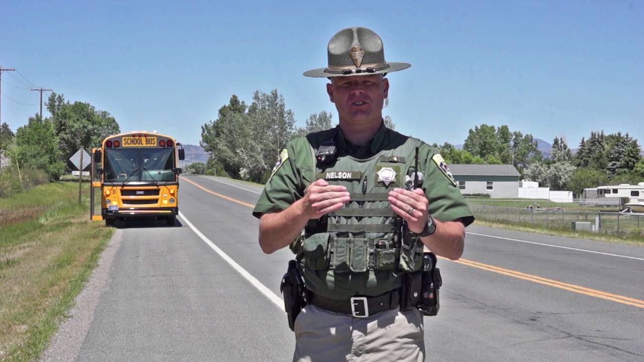 Driving Safety 101: School Bus Safety