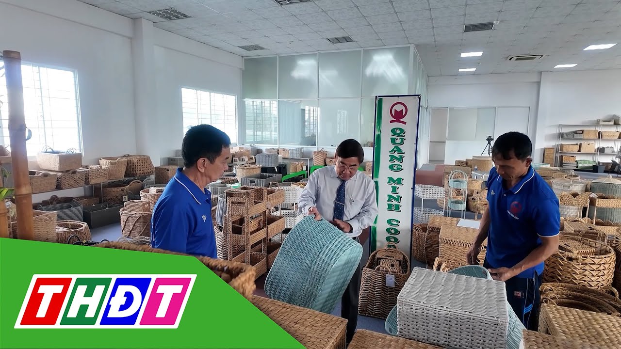 Thích ứng thị trường - Trục xoay sống còn của HTX Đồng Tháp | Kinh tế - 28/1/2026 | THDT