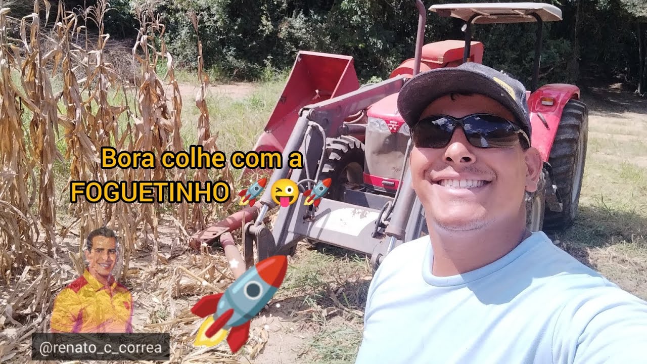 COLHEITA DE MILHO. PRIMEIRO DIA COLHENDO COM A FOGUETINHO (PENHA). MUITAS DICAS DA MÁQUINA 👷‍♂️