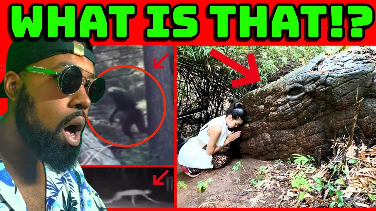 Disturbing Videos That Broke My Understanding Ep 101