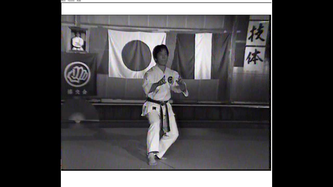 UNSHU by Tsutomu KAMOHARA Sensei (1993, France)