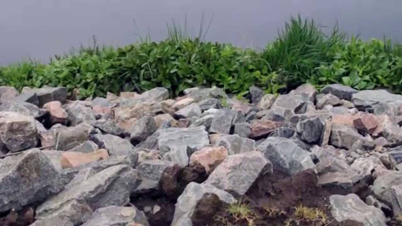 Good Environmental Practice on a Construction Site
