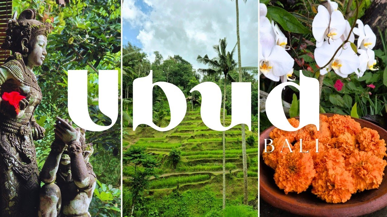 Ubud - Bali 🇮🇩 Culture, Nature and a few Suprises!