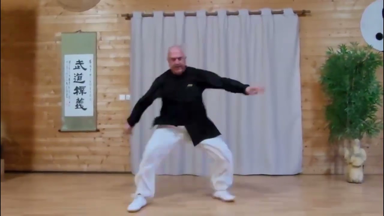 Taiji style Yang Zuhelianxi forme explosive - Par Thierry Alibert