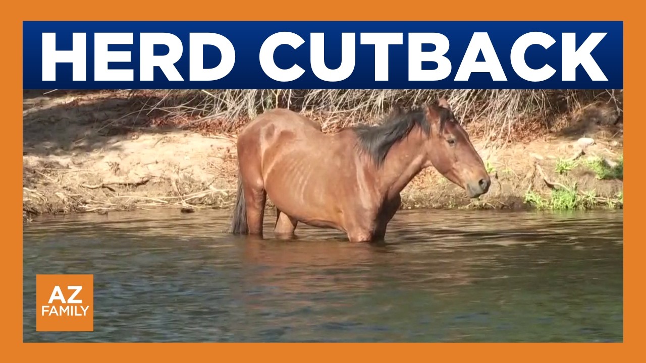 Arizona contract requires removal of horses from Salt River
