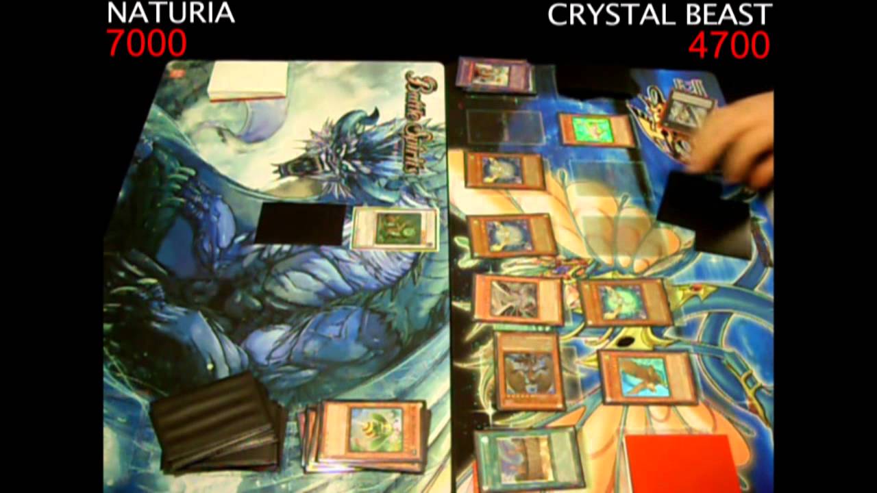 Yugioh Duel: Crystal Beast vs Naturia - Round 1