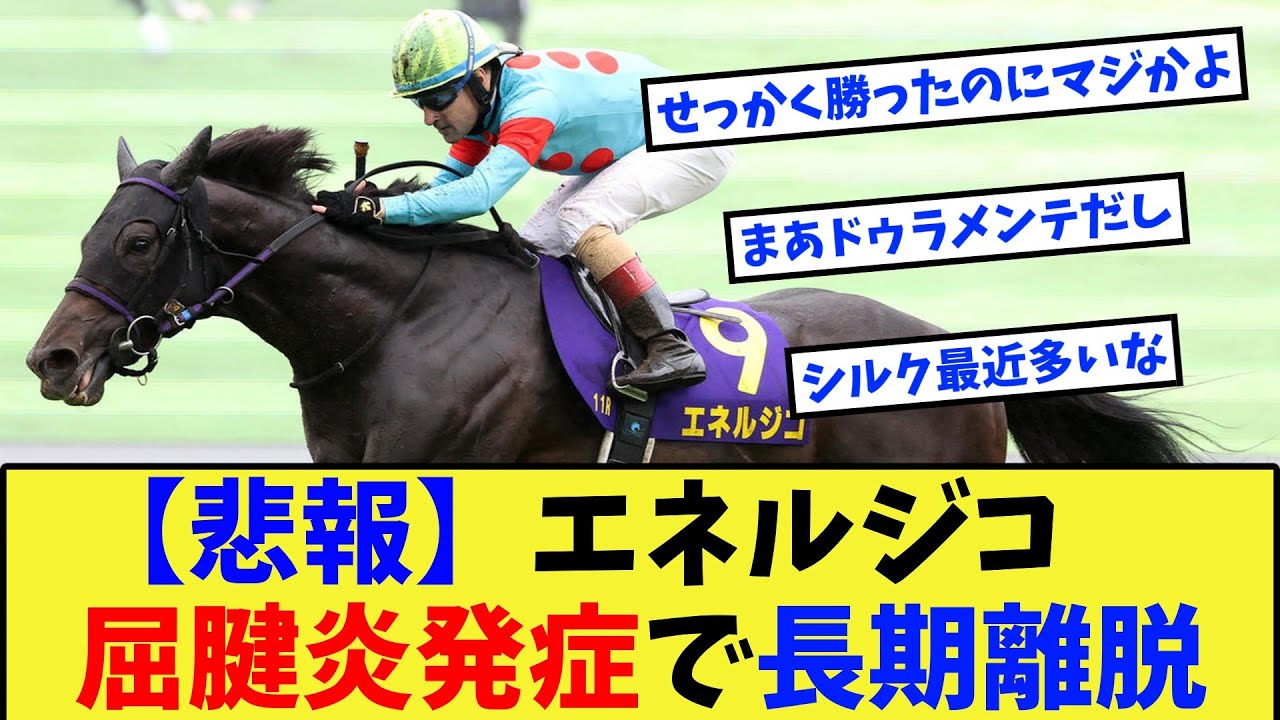 【競馬】【悲報】菊花賞馬エネルジコ、屈腱炎発症で全治9か月の模様に対する反応集【競馬の反応集】