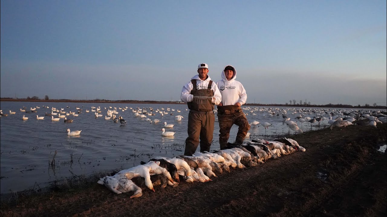 Snow Goose Conservation Hunt 2023!!