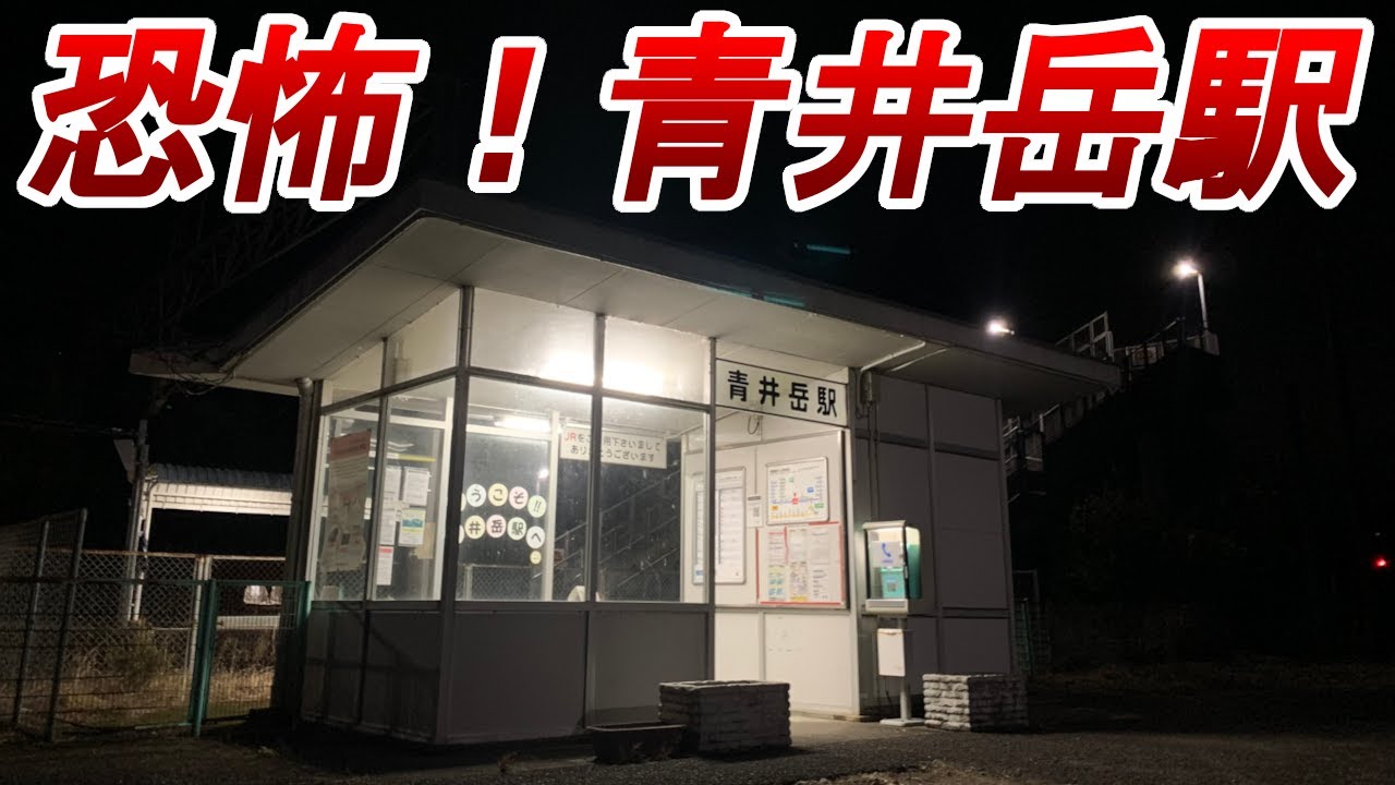 【普通列車も通過】列車が大幅に減らされる無人駅に行ったら怖すぎた！ 日豊本線 青井岳駅