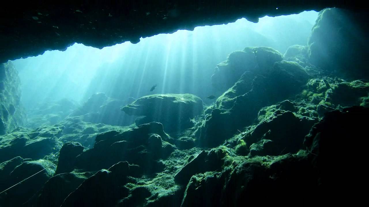 Diving Florida Springs