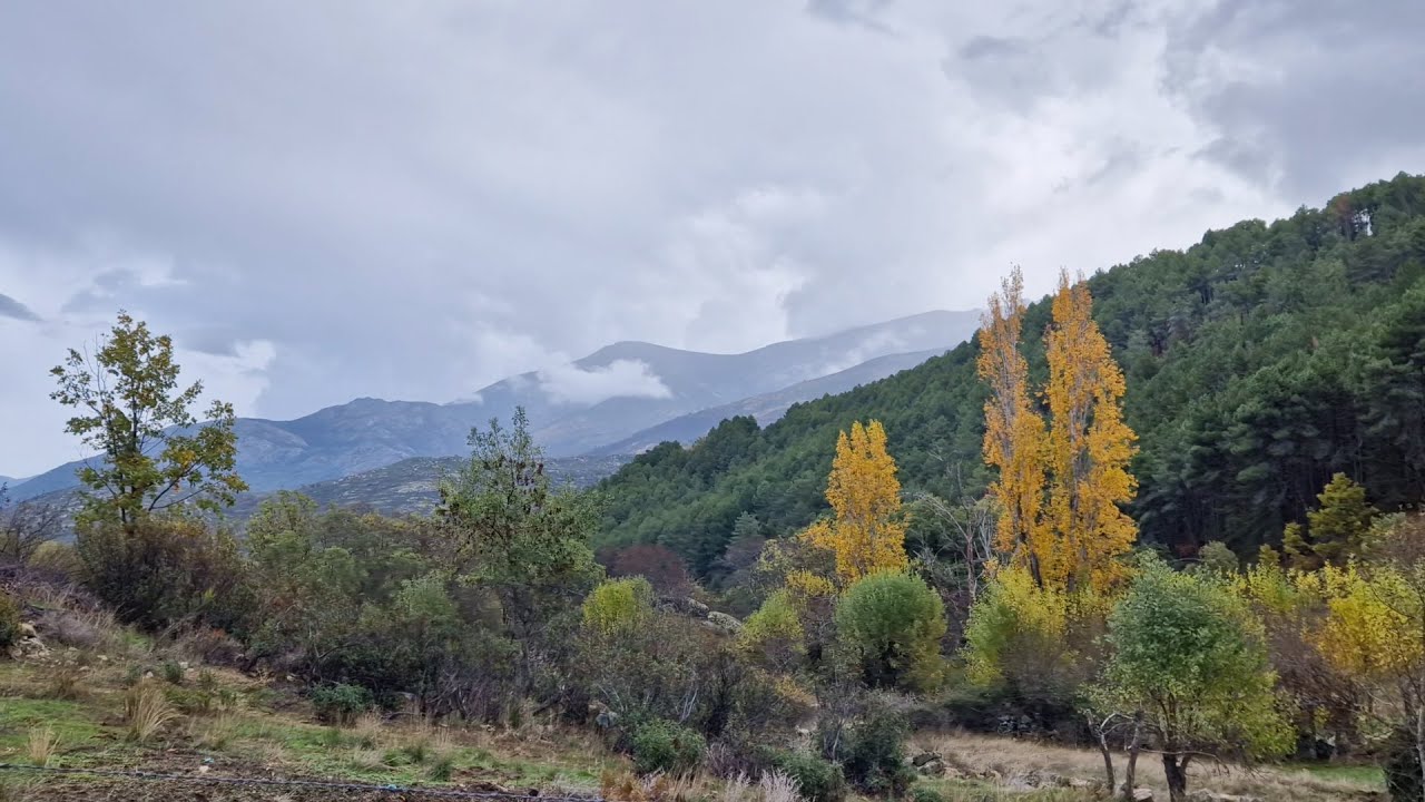 Villanueva de Ávila 2024