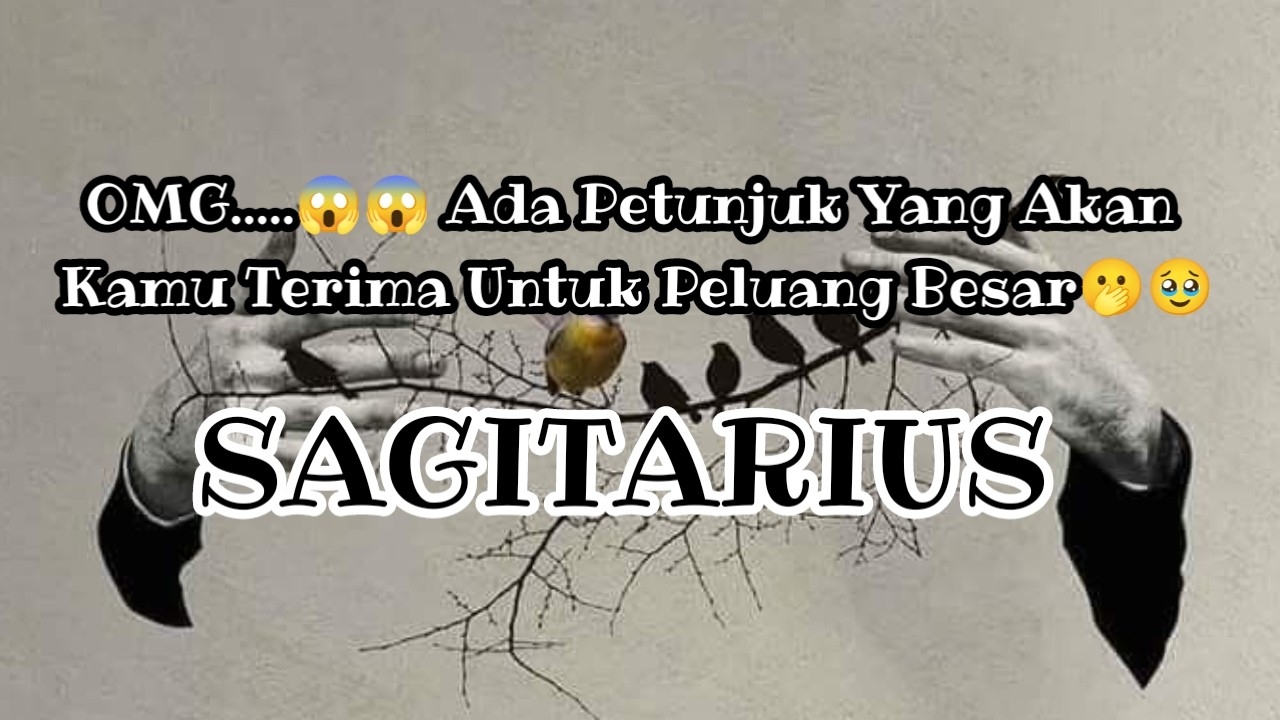 🫢Sagitarius😱OMG.....😱😱 Ada Petunjuk Yang Akan Kamu Terima Untuk Peluang Besar🫢🥹