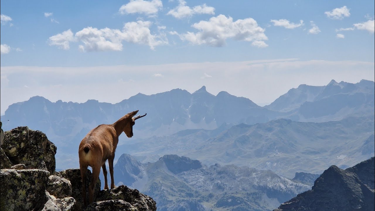 Arista de los Geodésicos al Palas 2974m