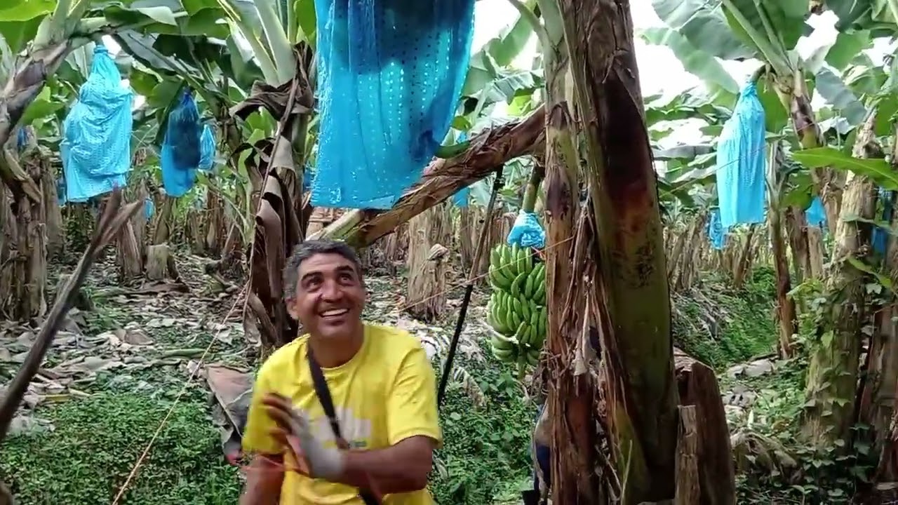 Kenneth & Ivis (Finca Estrada) Limón, Costa Rica