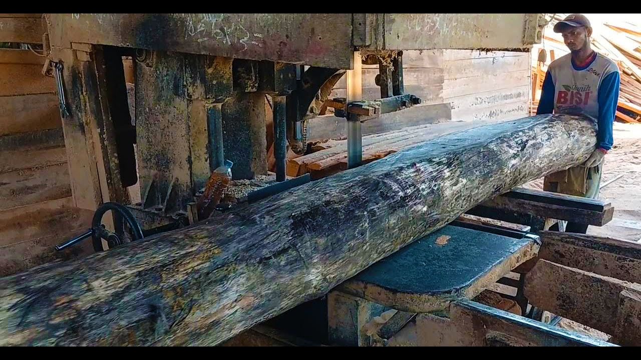 Relaxing Woodcut ASMR  Sawing Dry Wood From Random Materials
