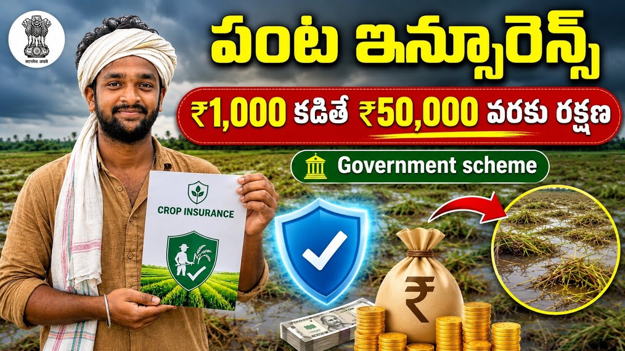 Crop Insurance | పంట ఇన్సూరెన్స్ (PM Fasal Bima Yojana)  | ప్రతి రైతు తప్పక తెలుసుకోవాల్సిన స్కీమ్