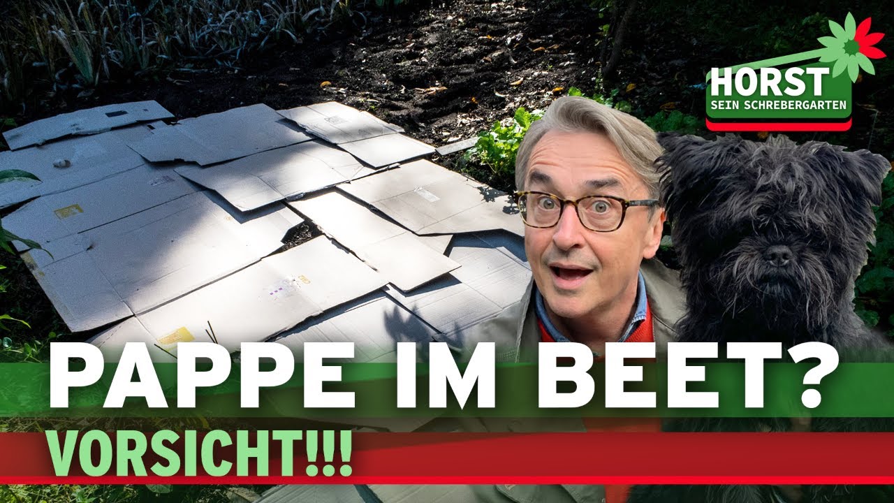 Altpapier und Karton im Garten richtig einsetzen | Horst sein Schrebergarten