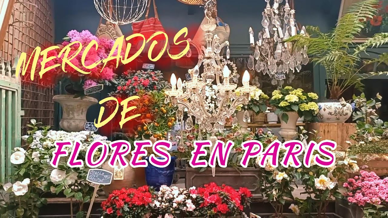 PARIS 😍, MERCADO DE FLORES Y AVES - ELIZABETH II.