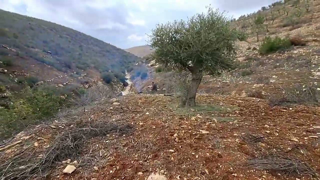 جبال خاستيا عفرين /Cavbeleka min tuyî