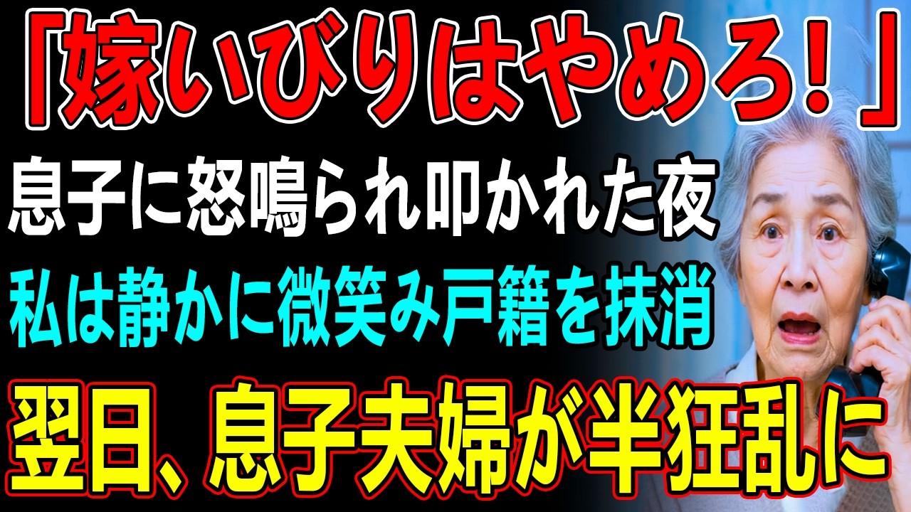 「家事をしないし、孫に昭和の教育ばかりするのよ〜」嘘ばかりを言う息子嫁のせいで家族の空気は最悪に→我慢の限界に達した私は”戸籍上の繋がり”を断ち切ると