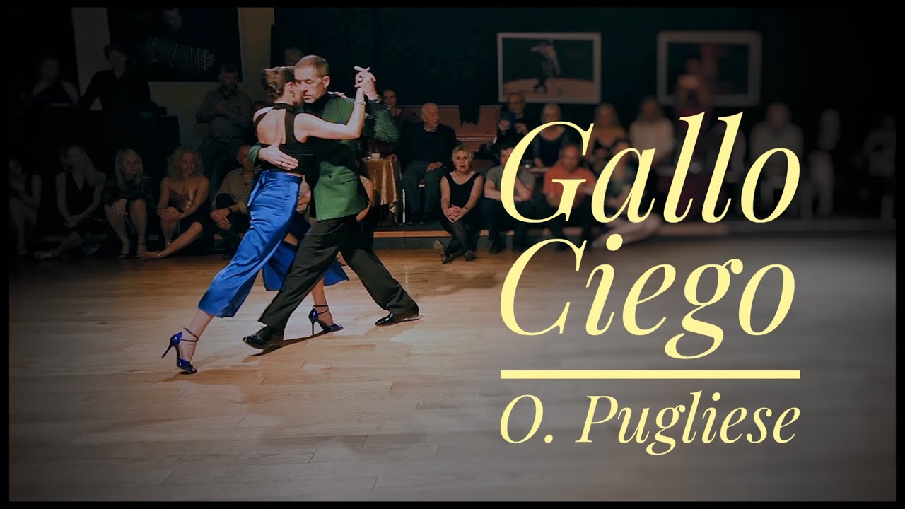 Gallo Ciego - Michael 'El Gato' Nadtochi & Elvira Lambo