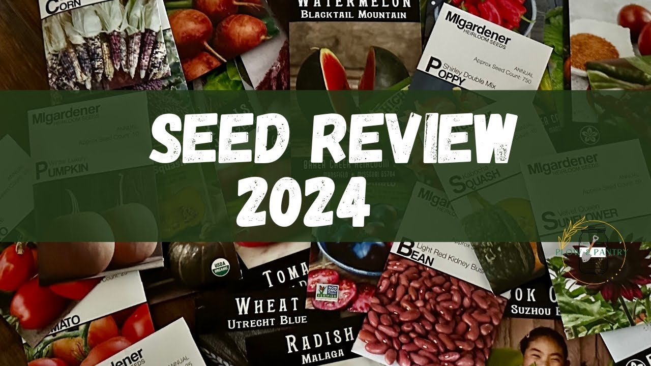 2024 Seed Review - What Garden Successes and Failures Did I Have This Year?