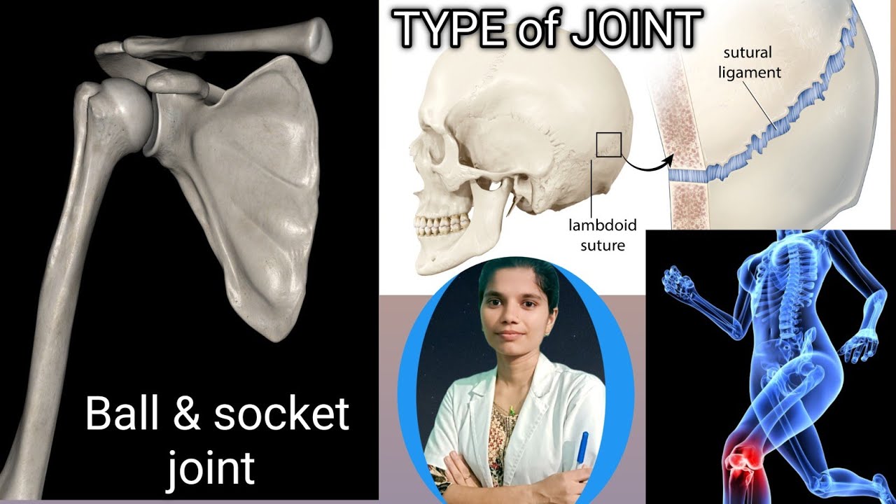 Joint (Sandhi) Kya Hota Hai? | Types, Structure, Function & Clinical Importance | 
