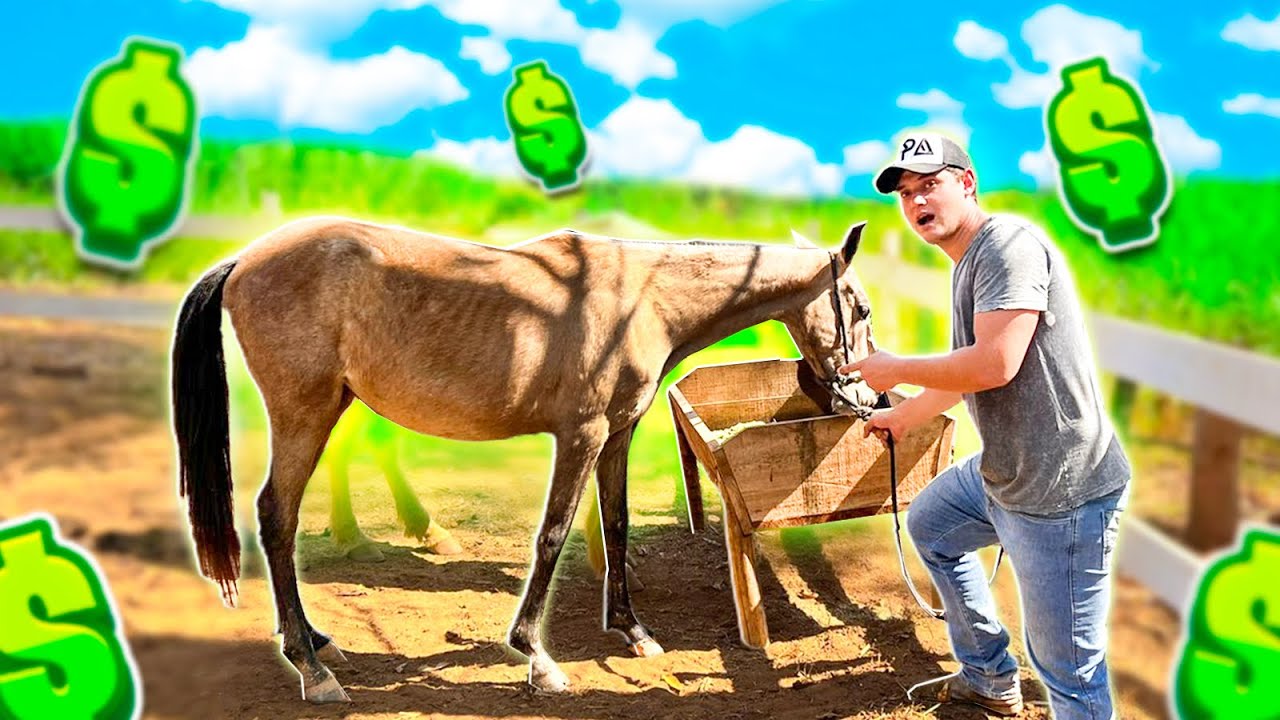 QUEM Achar MAIS DINHEIRO na FAZENDA Leva TUDO !!!