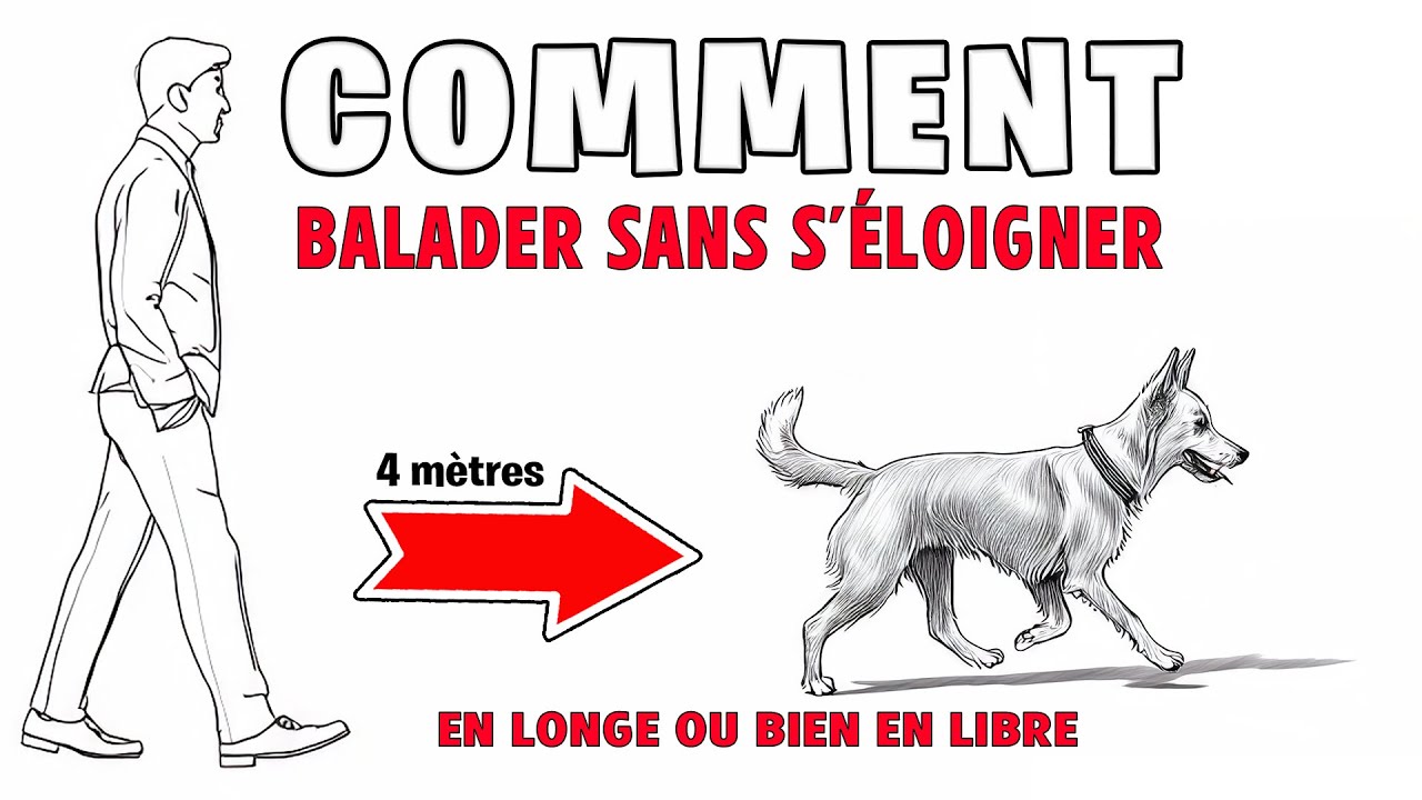 BALADER SON CHIEN EN LONGE