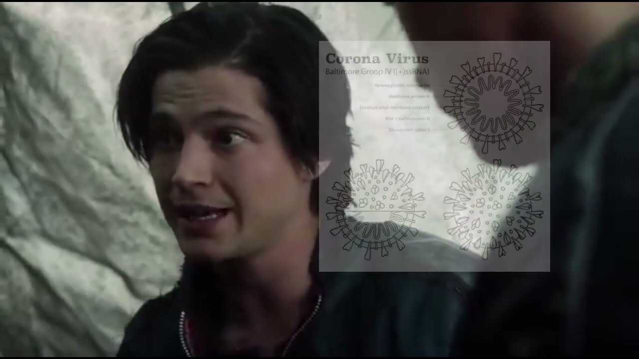 finn collins being big brain
