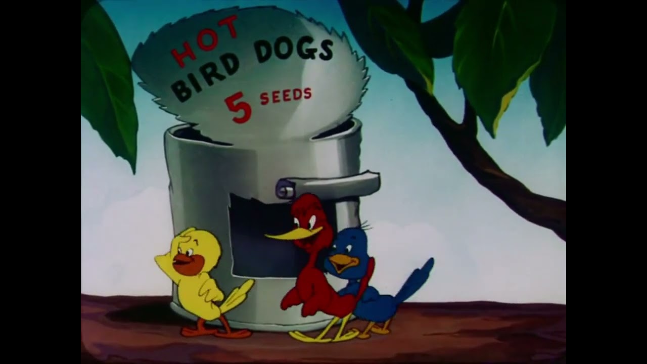 The Bored Cuckoo (1948) | Classic Noveltoon Cartoon