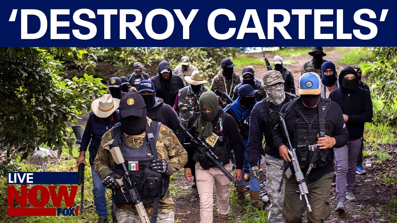 Border crisis: 'America will destroy cartels' | LiveNOW from FOX