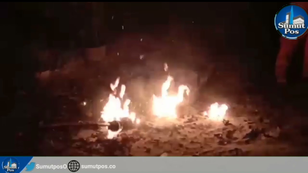 DAMKAR TEBINGTINGGI MUSNAKAN SARANG TAWON KEPALA SEBESAR KARUNG