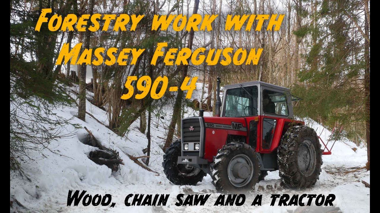Forestry work with a Massey Ferguson 590-4