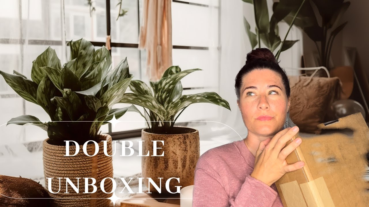 Unveiling Two Luxe Designer Bags: Double The Style!