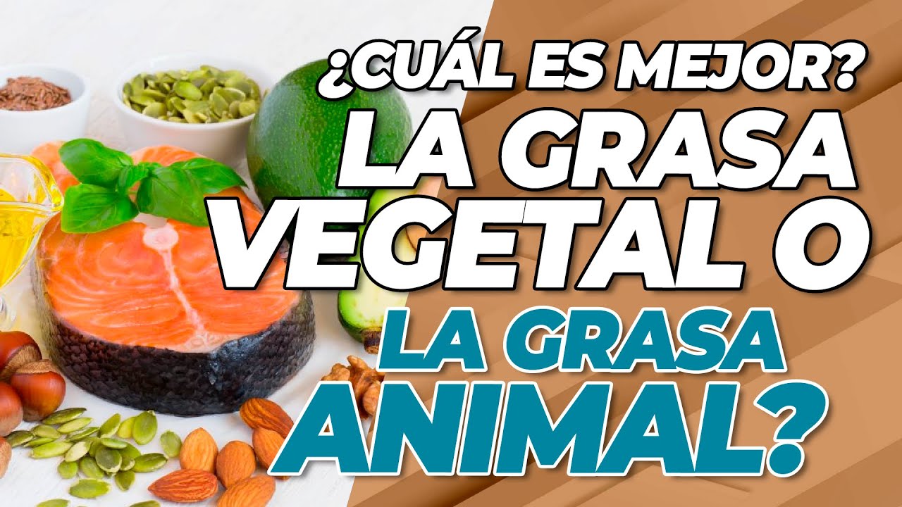 &iquest;CU&Aacute;L ES MEJOR LA GRASA VEGETAL O LA GRASA ANIMAL? ✅ - Frank Serapi&oacute;n.