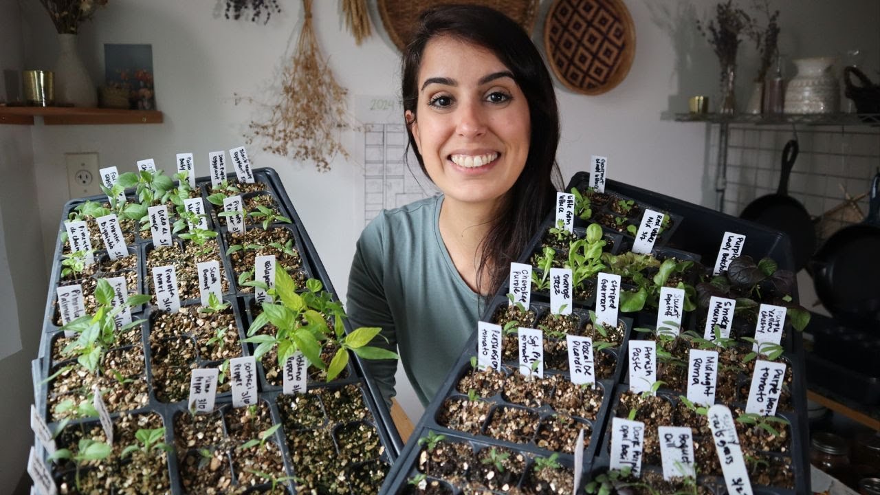 Early April Seedlings Update 🌱