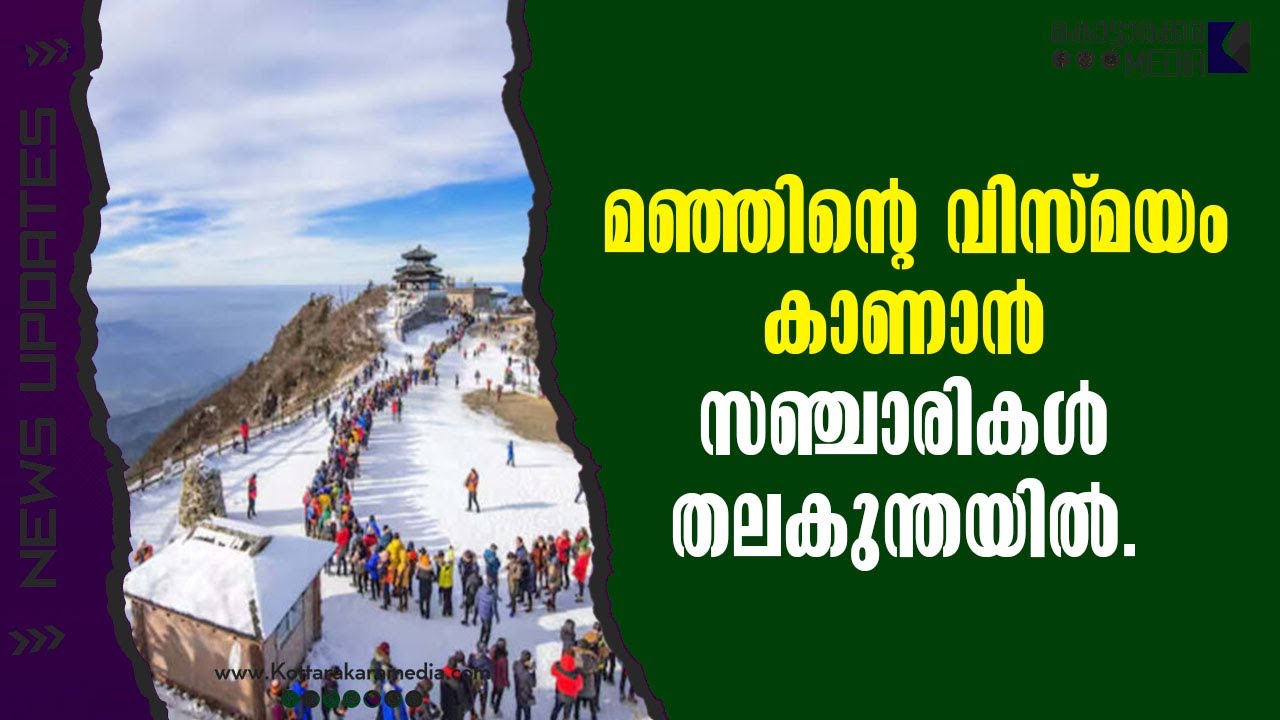 ഊട്ടിയിലെ തലകുന്തയിൽ മഞ്ഞിന്റെ വിസ്മയം; സഞ്ചാരികളുടെ തിരക്ക് വർധിക്കുന്നു ❄️🌄#ThalakundaOoty