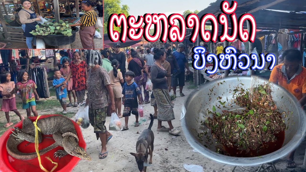 ຕະຫລາດນັດຊຸມຊົນບຶງຫົວນາ|ตลาดนัดชุมชนบึงหัวนา|Lao local food market