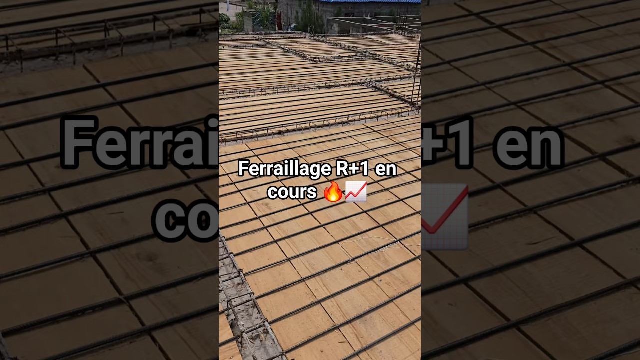 Ferraillage en cours 🔥📈
