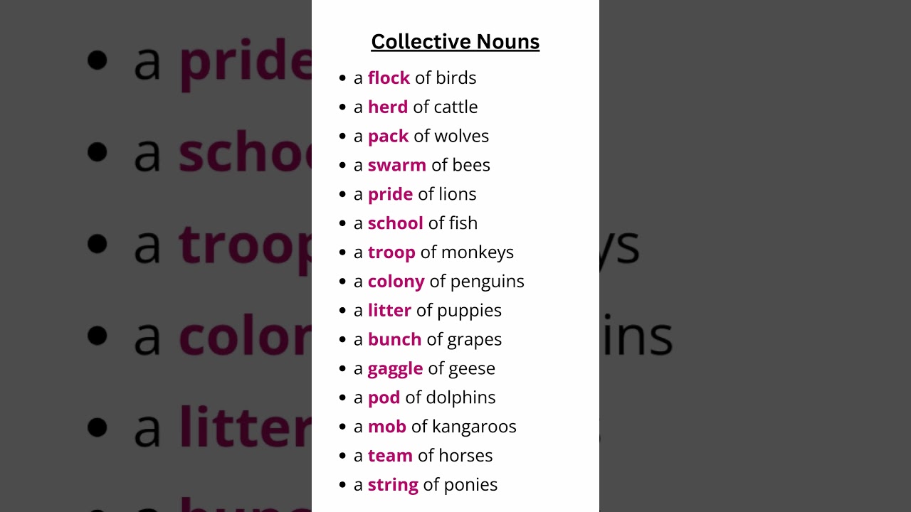 Collective Nouns List | Enhance Your English Vocabulary with These Fun Words! #collectivenoun