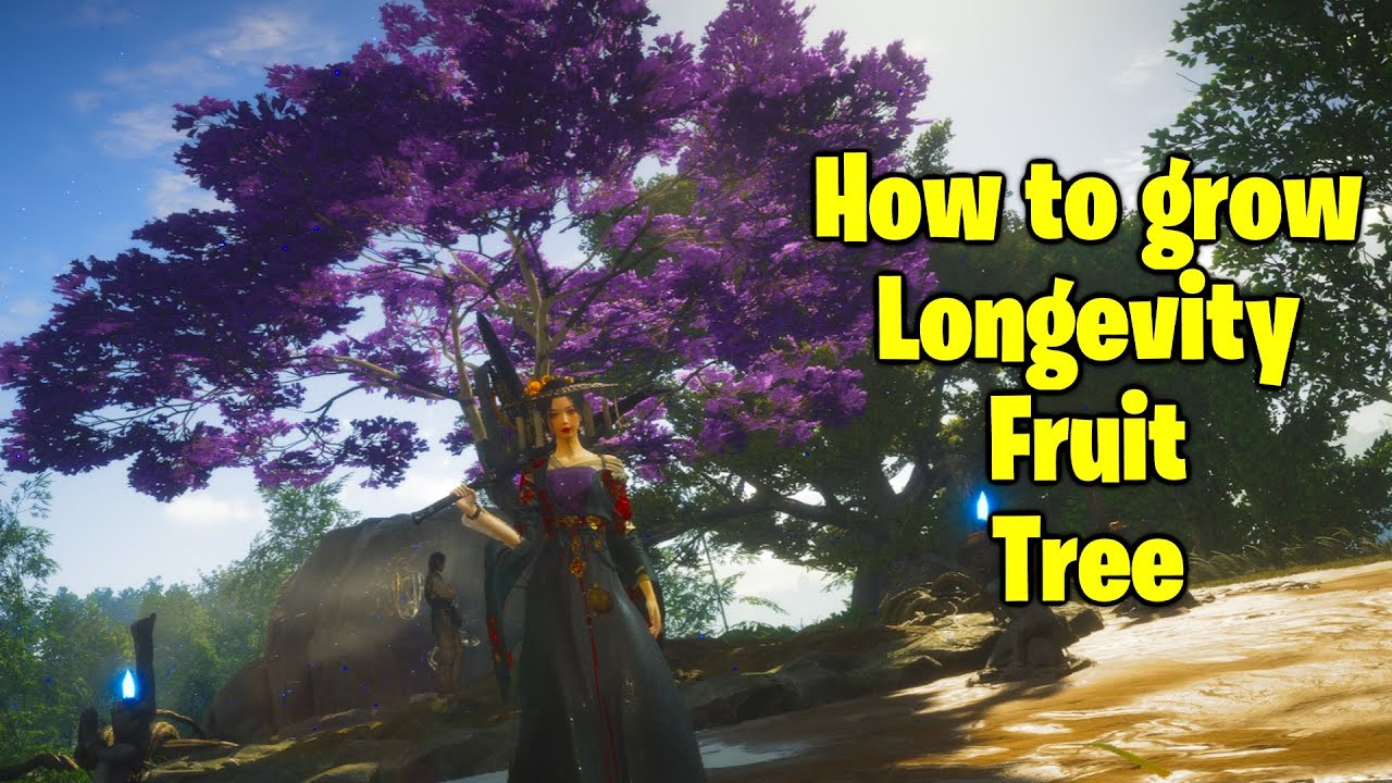 How to Grow Longevity Fruit Tree and Where to find Longevity Fruit - Where Winds Meet