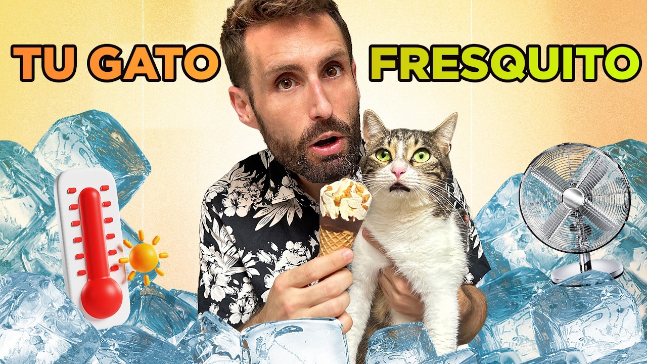 TRUCOS para REFRESCAR a TU GATO EN VERANO y COMBATIR EL CALOR ☀️😽🍧|Helados para gatos, cama fría y +